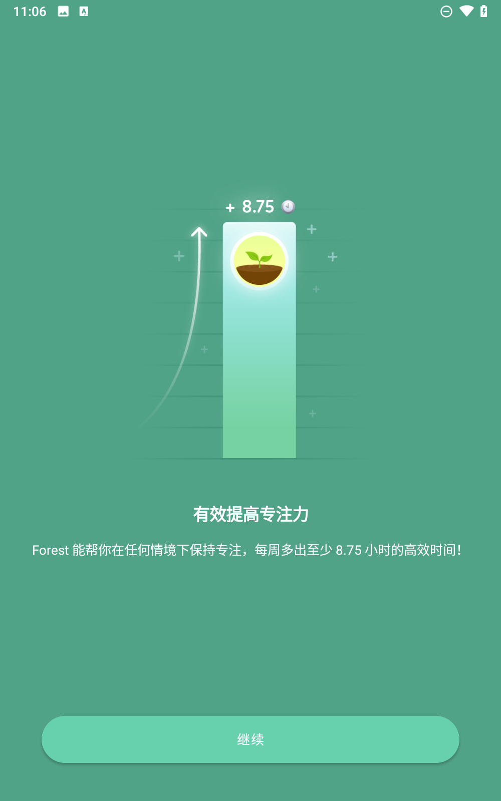 专注森林