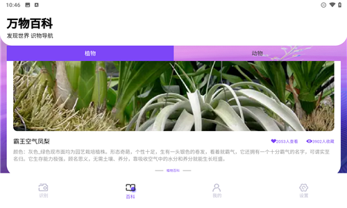 识物相机